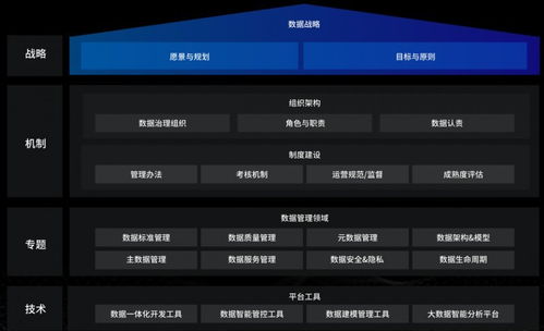 洞見未來，駕馭數(shù)據(jù) 國(guó)內(nèi)優(yōu)秀數(shù)據(jù)治理服務(wù)商及軟件開發(fā)指南